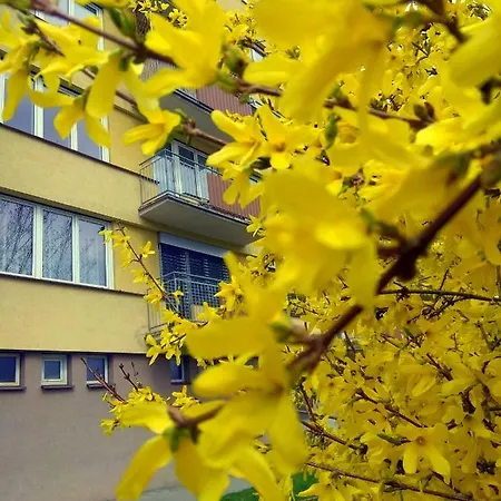Castle View-bus Station, Parking, Center Apartman *