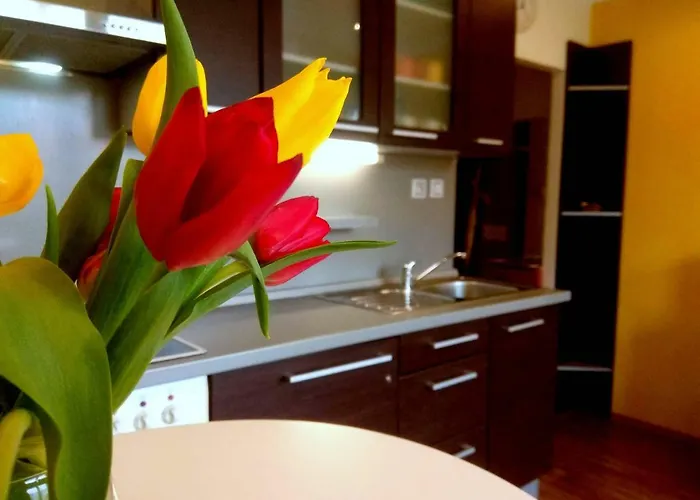Castle View-bus Station, Parking, Center Apartment